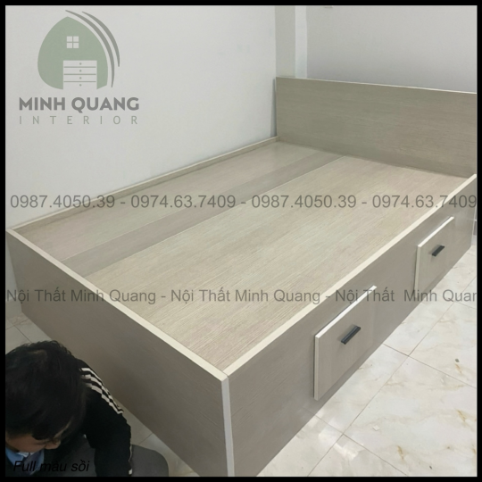 Giường Ngủ Nhựa Đài Loan Cao Cấp TPHCM GN004